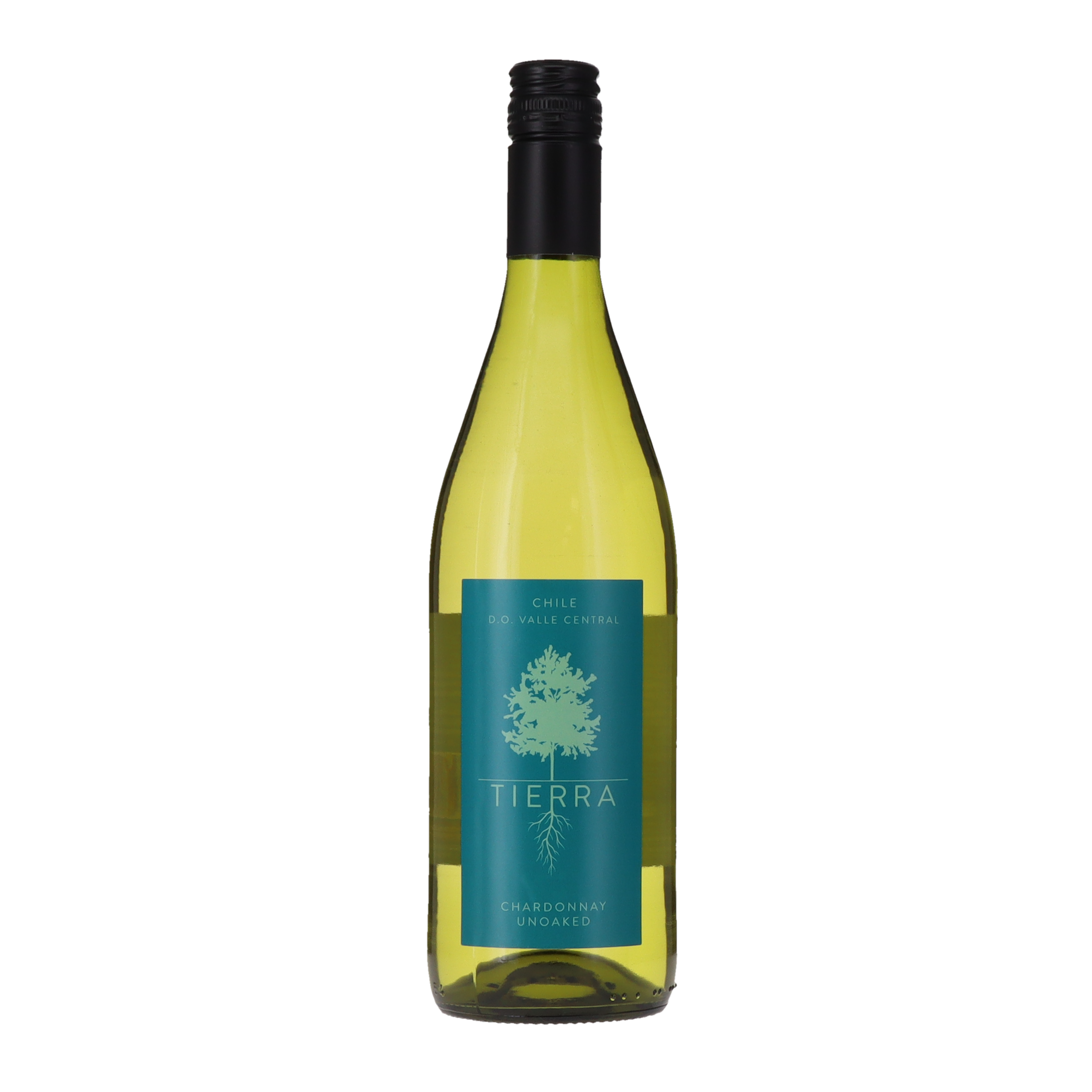 TIERRA CHARDONNAY 75x12